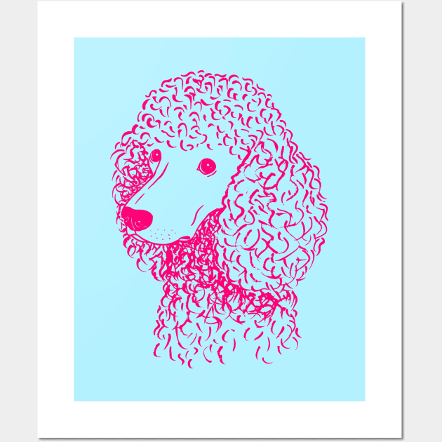 Poodle (Light Blue and Hot Pink) Wall Art by illucalliart
